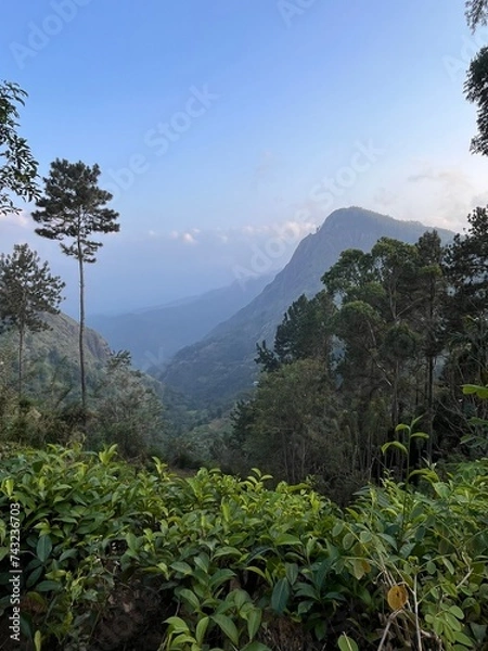Fototapeta clouds over the mountains, Ella rock , Sri Lanka 