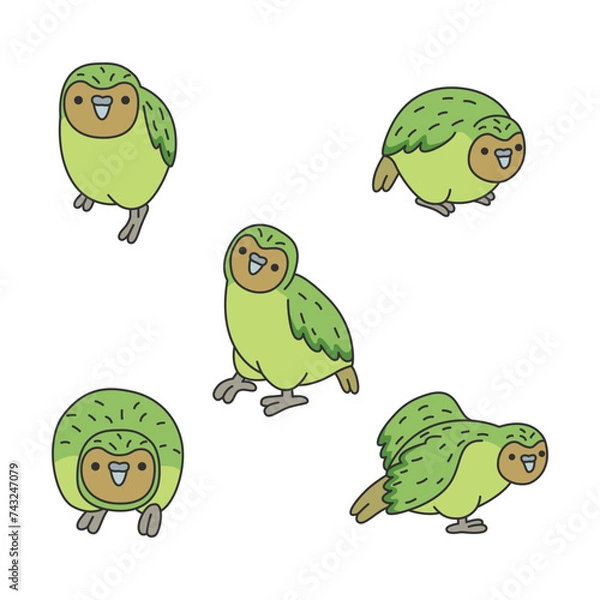 Fototapeta Set of cute cartoon kakapo parrots. Vector illustration isolated on white background.