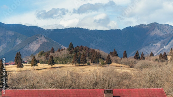 Fototapeta 빨간 지붕 뒤에 있는 동산