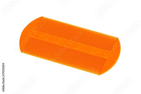 Obraz Lice comb isolated on a white background