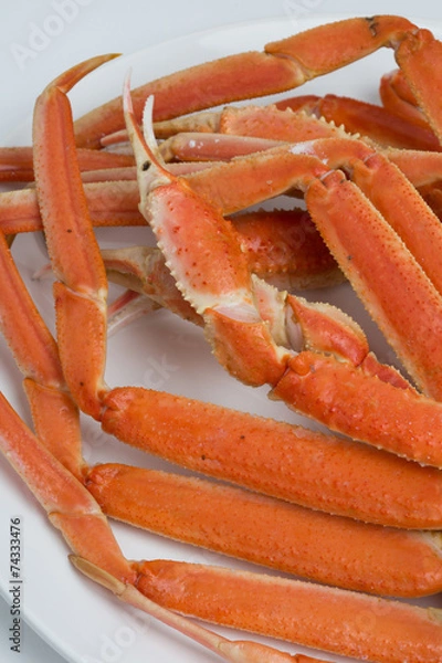 Obraz  ズワイガニ