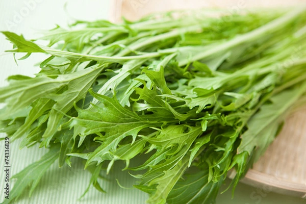 Fototapeta ミズナ