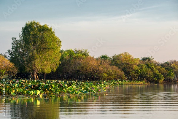 Obraz crocodile infested wetland in the Northern Territory of Australia
