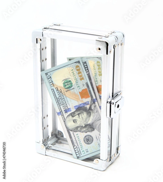Fototapeta Case with money