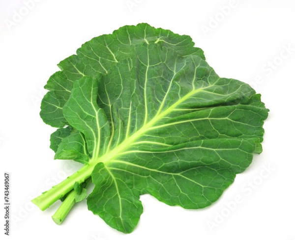 Fototapeta ケール