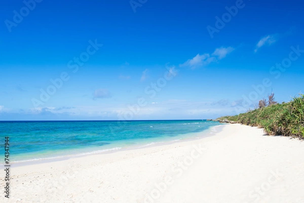 Obraz 沖縄のビーチ・ハンジャウリパーマ