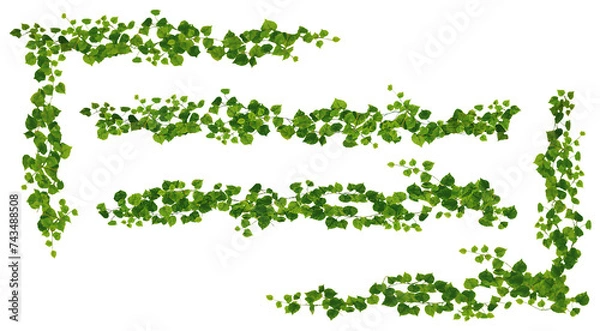 Obraz 蔓の装飾パーツ　セット　素材