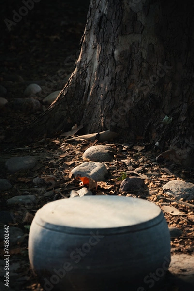 Obraz tree trunk in the cave