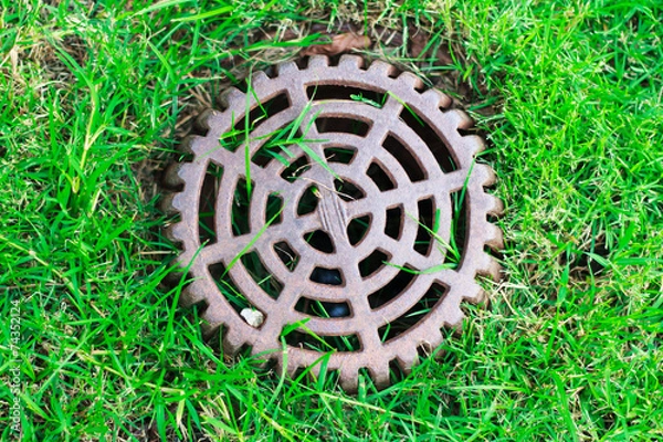 Obraz Cover Drain on a green lawn
