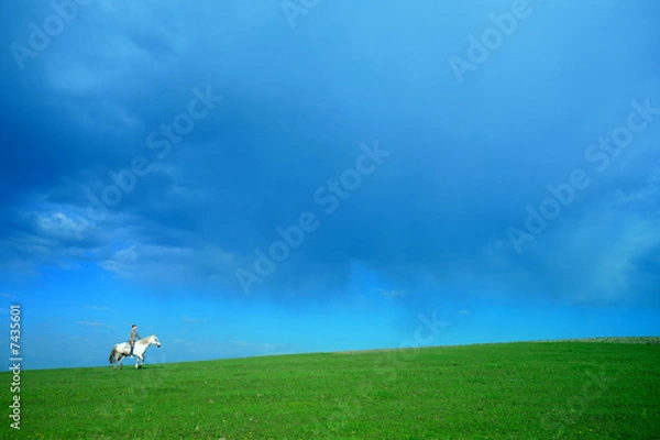 Obraz Rider on white horse