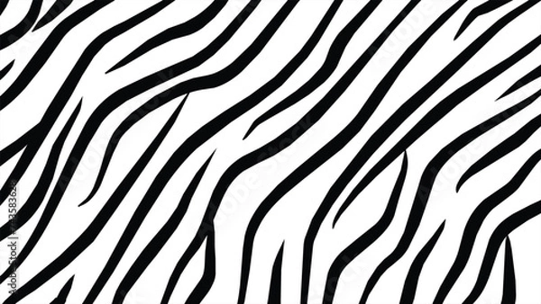 Obraz Zebra skin texture with random stripes, suitable for natural, African, forest, savanna, animal world themes