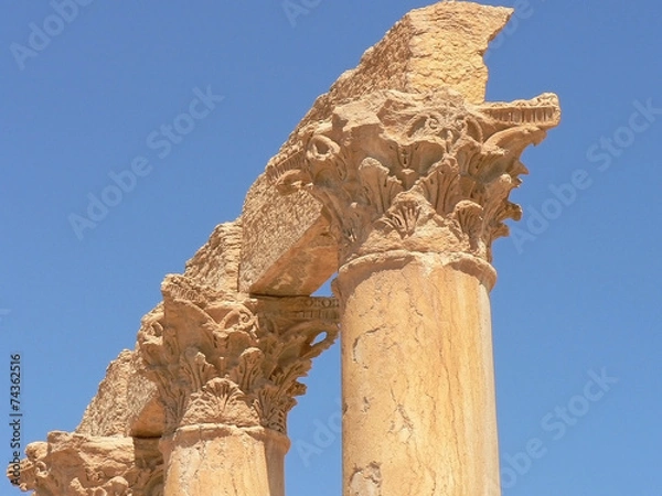 Obraz Palmyra