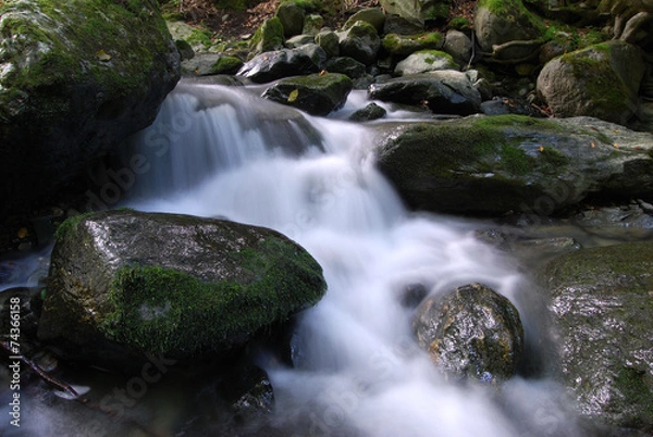 Obraz Fiume - bulgaria