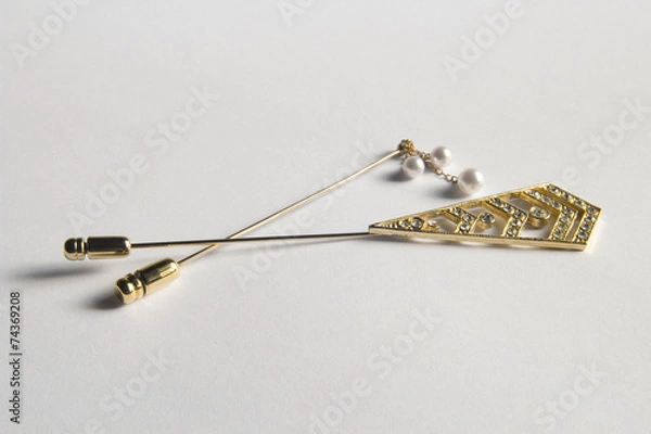 Obraz Pinbrouch-pin Broach-