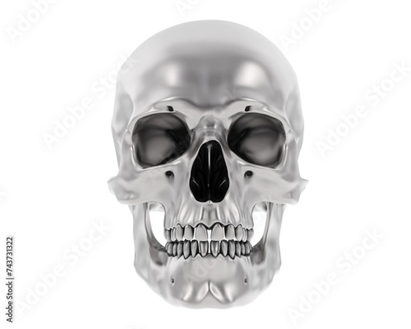 Fototapeta Skull isolated on background. 3d rendering - illustration
