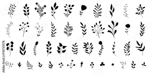 Fototapeta Minimal feminine botanical floral branch in silhouette style.