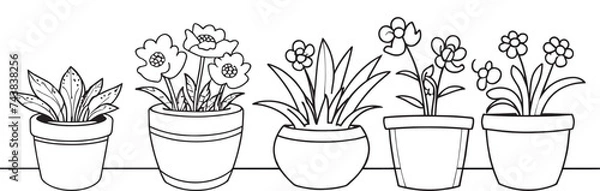 Fototapeta Set of continuous one line drawing of a flowers in a pots