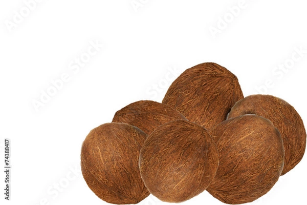 Fototapeta Coconuts