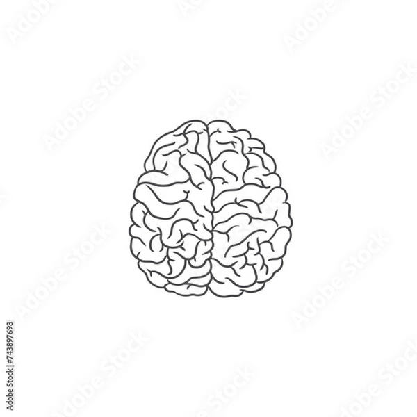 Obraz Hand drawn human brain vector, mental heath clip art, brain line art, brain vector