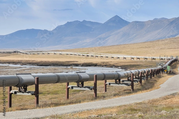 Obraz Trans-Alaska Oil Pipeline