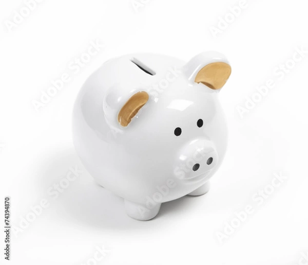 Obraz weisses sparschwein