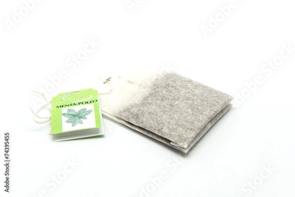 Obraz Infusion Mint-pennyroyal