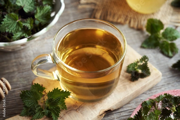 Fototapeta A cup of herbal tea with fresh nettles collected in spring