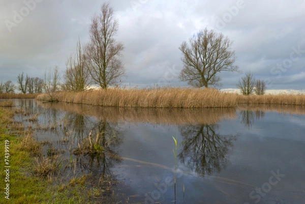 Fototapeta Deteriorating weather over the shore of a river at fall