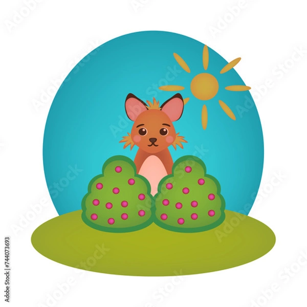 Obraz Fox and summer