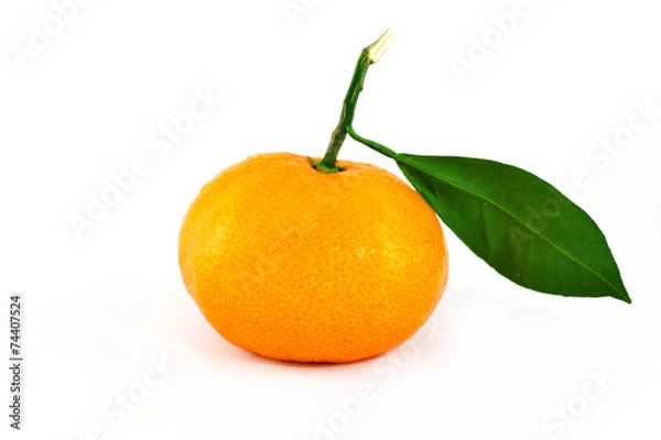 Obraz Orange and green leaf