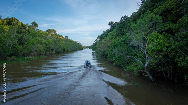 Fototapeta Aerial view of a speedboat navigating the flooded area (igapó) during the flooding of the Negro River in the Brazilian Amazon, in the Xiborena community, near the city of Manaus (AM).