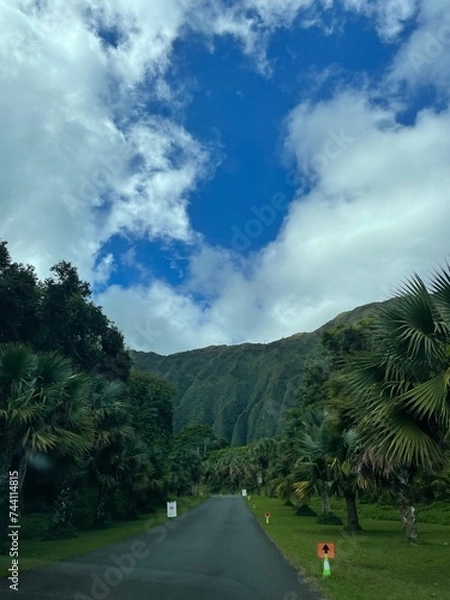 Obraz View from Oahu, Hi.