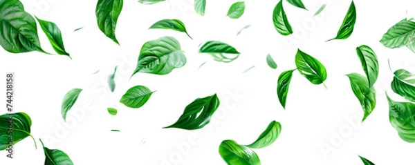 Obraz A green leaves flying.