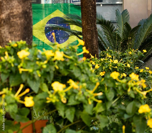 Obraz Flores e plantas verde e amarelas na rua
