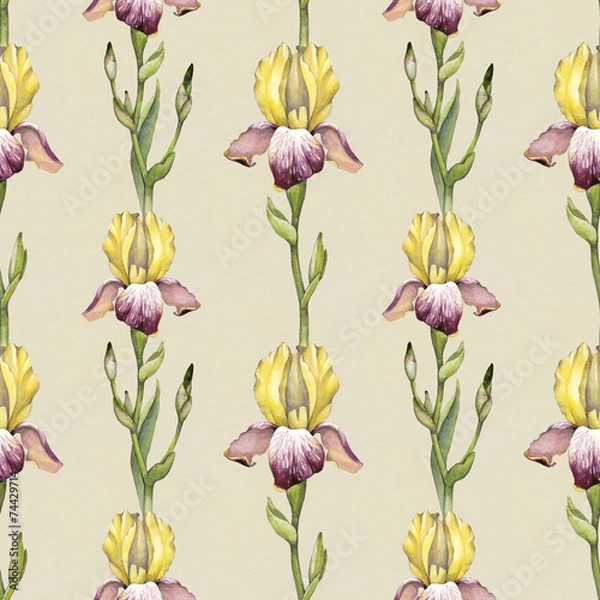 Fototapeta Watercolor iris flower illustration. Seamless pattern