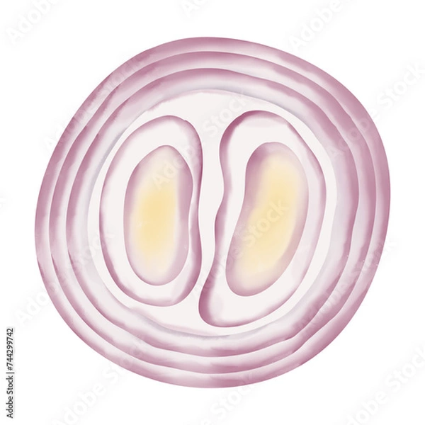 Obraz slide onion 