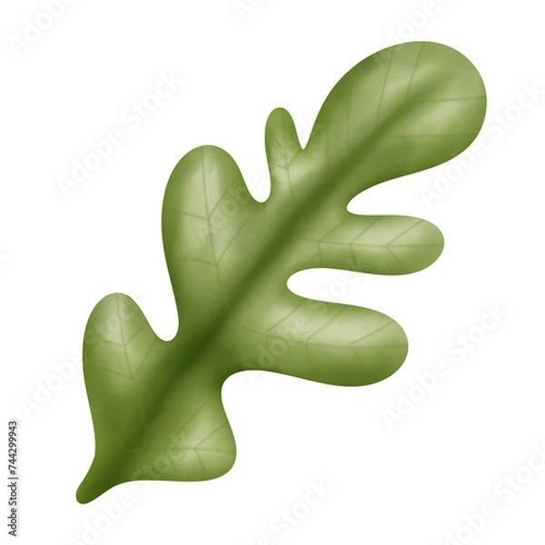 Fototapeta Rocket vegetable 