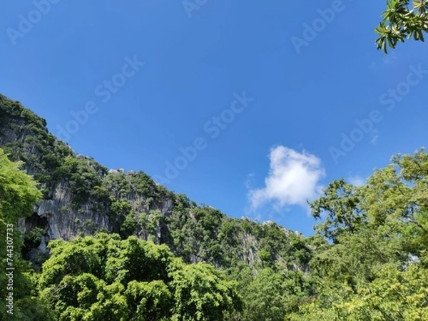 Obraz Forest and mountain views above the sky