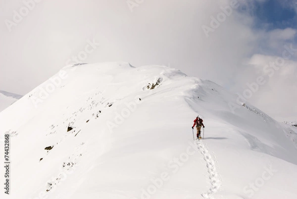 Fototapeta Snowshoeing