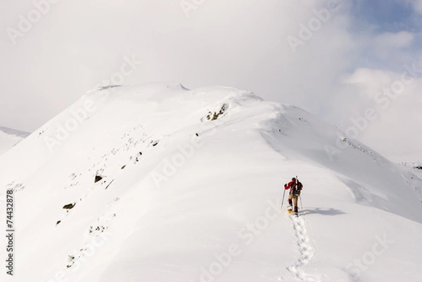 Fototapeta Snowshoeing