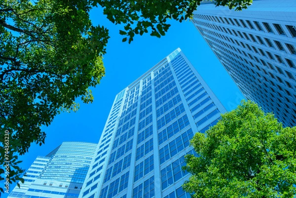 Fototapeta オフィスビル　緑の木
