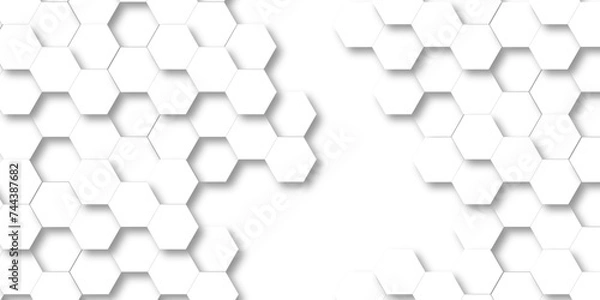 Obraz Abstract 3d background with hexagons pattern with hexagonal white and gray technology line paper background. Hexagonal vector grid tile and mosaic structure mess cell. white and gray hexagon.