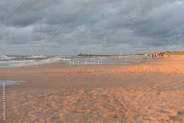 Fototapeta sea and beach in the color of the setting sun