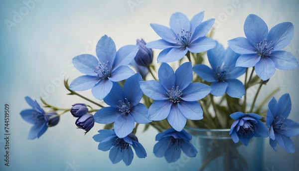 Fototapeta A bunch of blue flowers set against a soft textured background in varying shades of blue and the play of light and shadow creates an abstract design imbuing the image with a sense of mystery and calmn