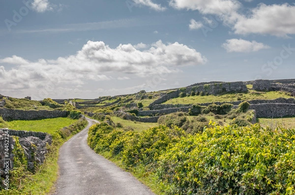 Obraz Paysage irlandais