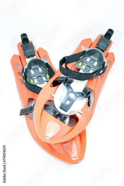 Obraz A pair of snowshoes