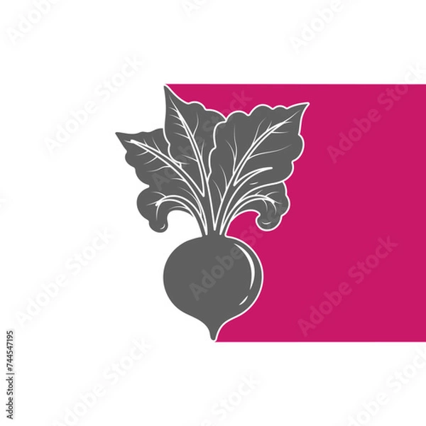 Fototapeta Silhouette of beet vegetable on a white background with a colored element. Healthy food design. Vector illustration