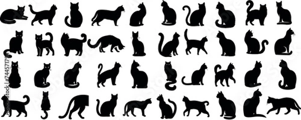 Obraz Black cat silhouettes in various poses, isolated on white background. Perfect for logos, decals, apparel design. Elegant, sleek feline figures showcasing minimalist modern art