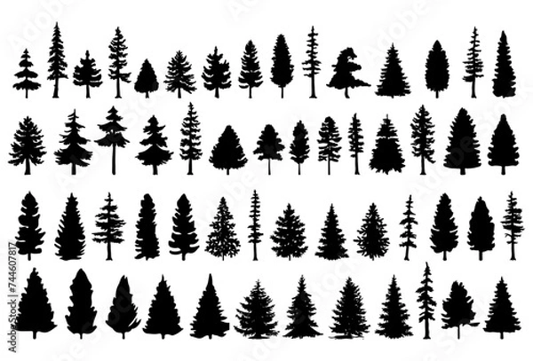 Fototapeta Pine tree silhouette collection on white background.Spruce tree silhouette set on white background
