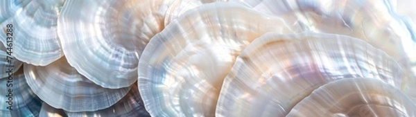 Fototapeta Super Ultrawide Abstract Mother Of Pearl Organic Background  